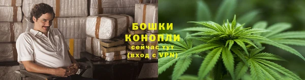 герыч Новодвинск
