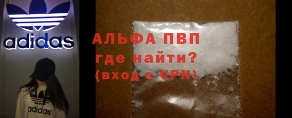 PSILOCYBIN Новокубанск
