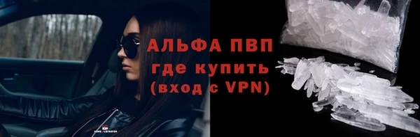 PSILOCYBIN Новокубанск