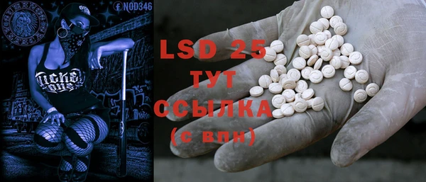 PSILOCYBIN Новокубанск