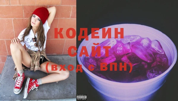 индика Вязники