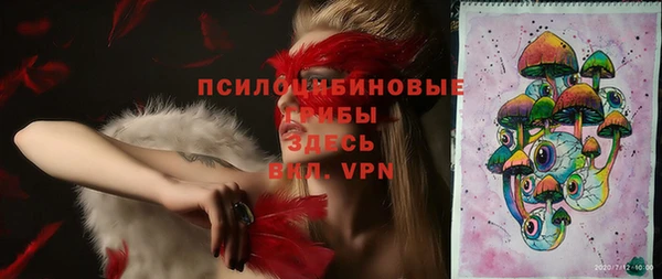герыч Новодвинск