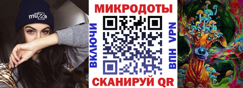 mega   хочу   Тырныауз  Псилоцибиновые грибы Cubensis 